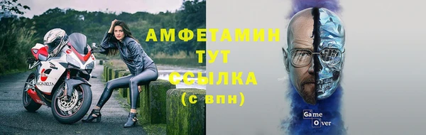 мдпв Вязьма